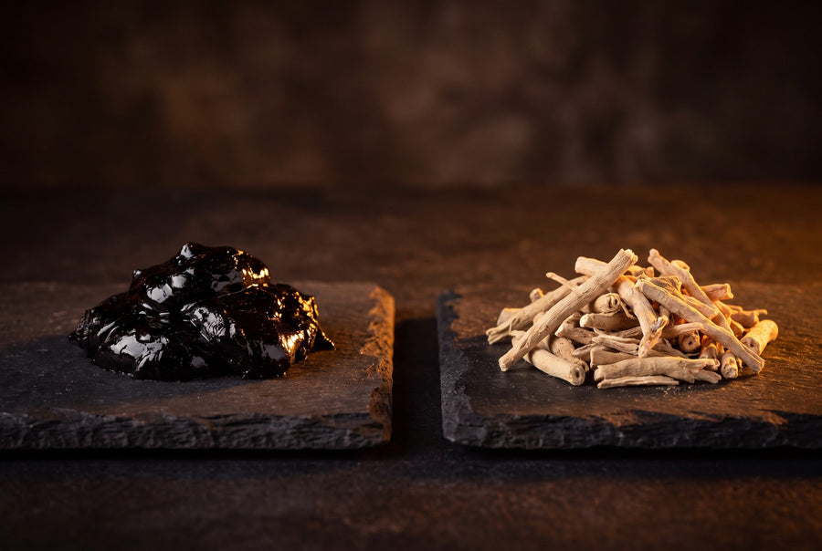 Shilajit vs Ashwagandha: Which Is Better for Energy and Performance?