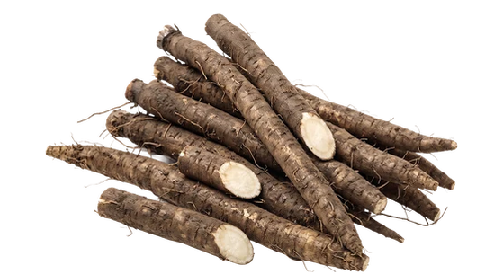 burdock root