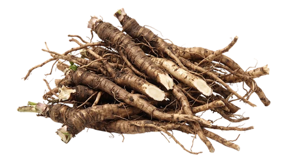 dandelion root