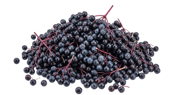 elderberry